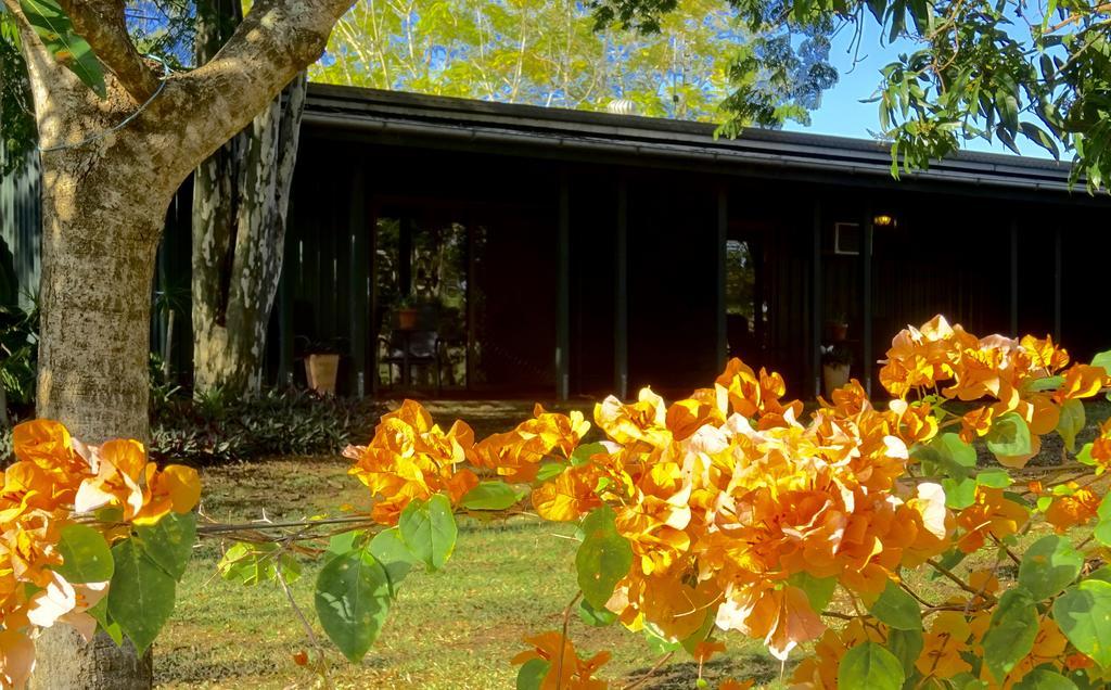 Lagoon Pocket Bed & Breakfast Luaran gambar