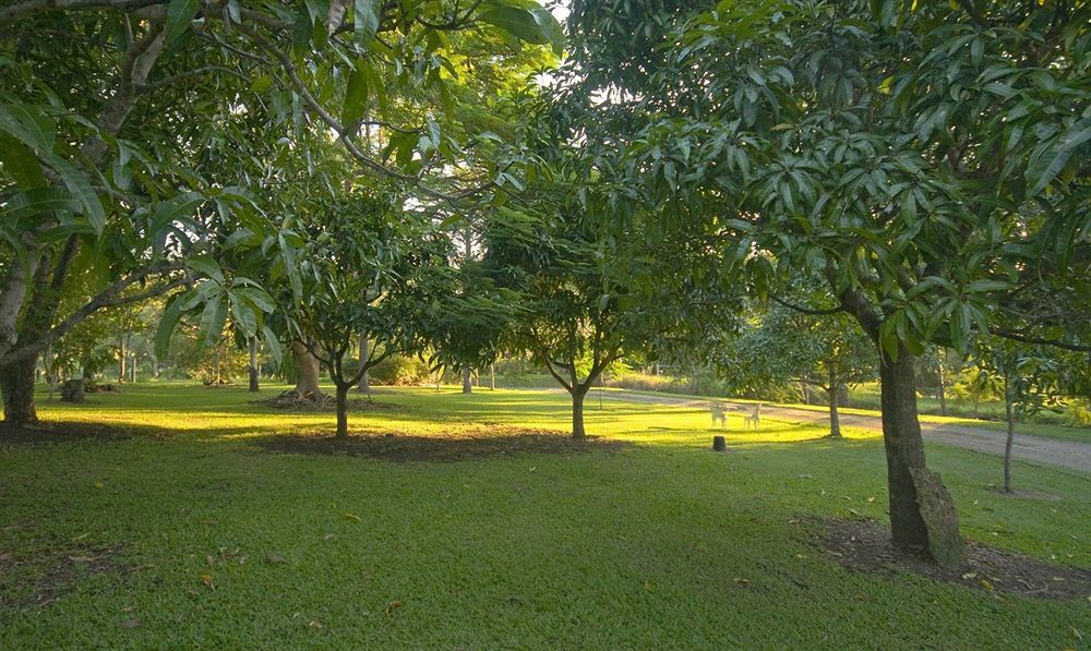 Lagoon Pocket Bed & Breakfast Luaran gambar